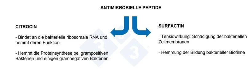 Abb. 3: Eigenschaften antimikrobieller Peptide