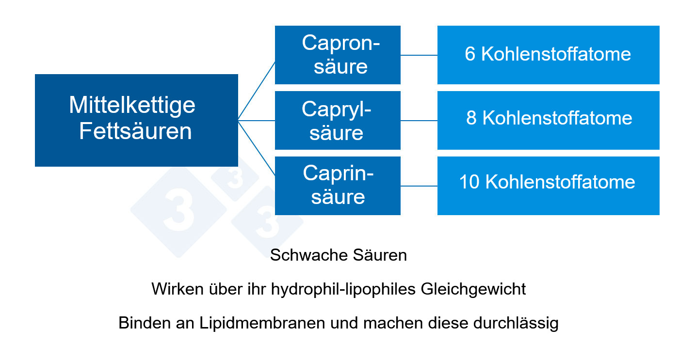 <p>Abb. 2: Mittelkettige organische Säuren</p>