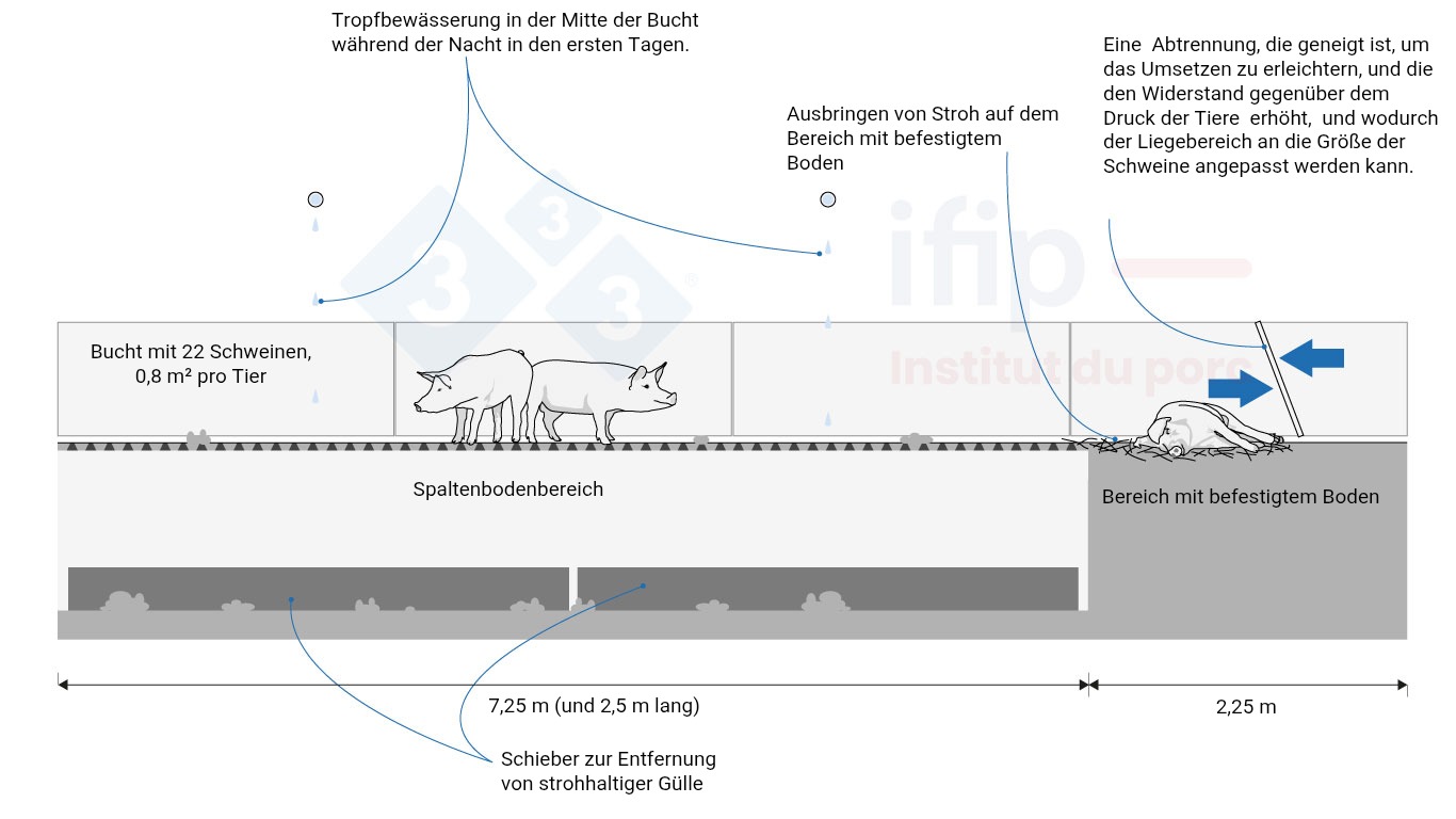 <p>Beispiel für eine Bucht mit teilweise perforiertem Boden. Angepasst nach dem BâtiPorc C4E-Leitfaden, 2024.</p>