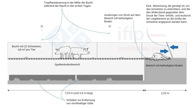 Beispiel für eine Bucht mit teilweise perforiertem Boden. Angepasst nach dem BâtiPorc C4E-Leitfaden, 2024.