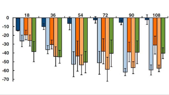 Veränderungen der Phagozytosefähigkeit der Alveolarmakrophagen zu verschiedenen Zeitpunkten post-infectionem mit PCV2, PRRSV, PCV2 und PRRSV, PRRSV und PCV2, PCV2 und PRRSV (gleichzeitig) und einem Placebo.