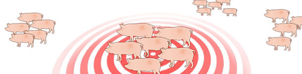 Dynamik des Influenzavirus in Sauenbeständen