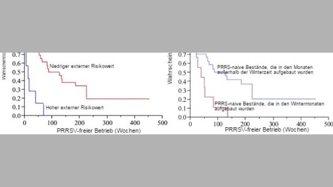 Wahrscheinlichkeit eines Betriebs PRRSV-negativ zu bleiben