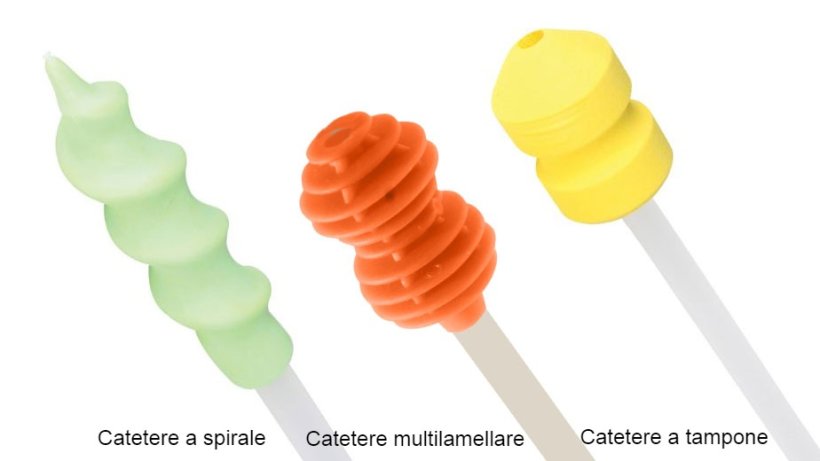 Foto 2. Esistono diversi tipi di catetere sul mercato. Il protocollo di posizionamento cervicale &egrave; diverso a seconda del catetere. &Egrave; importante adattarsi ad esso.
