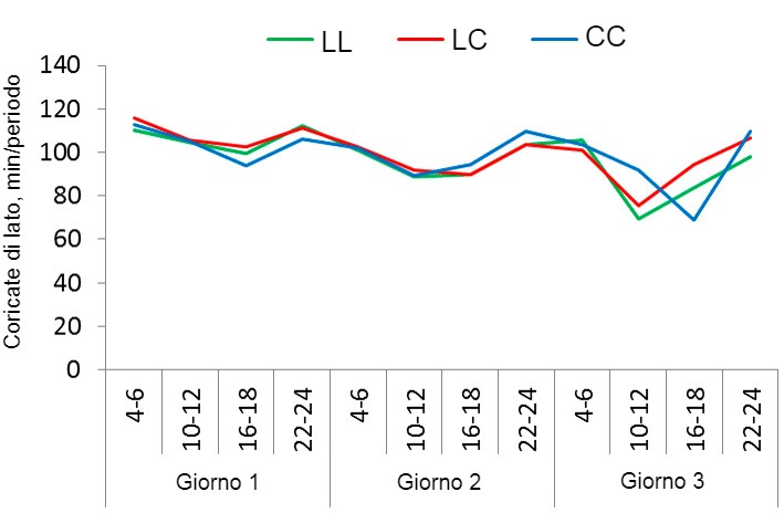 Figura1. Modello di riposo delle scrofe nel sistema SWAP con 3 strategie d'uso distinte: nessun confinamento, confinamento dopo il parto&nbsp;e per 4 giorni (dopo libere) o confinamento il giorno prima del parto&nbsp;e per 4 giorni (dopo libere). Il tempo in cui le scrofe sono rimaste coricate dalla loro parte durante i primi 3 giorni di lattazione&nbsp;(registrati in periodi di 2 ore) nei 3 trattamenti: libere al parto ed in lattazione&nbsp;(LL), confinate&nbsp;dopo il parto e durante i primi 4 giorni di lattazione&nbsp;(LC), confinate&nbsp;un giorno prima del parto&nbsp;previsto&nbsp;e durante i primi 4 giorni di lattazione (CC).
