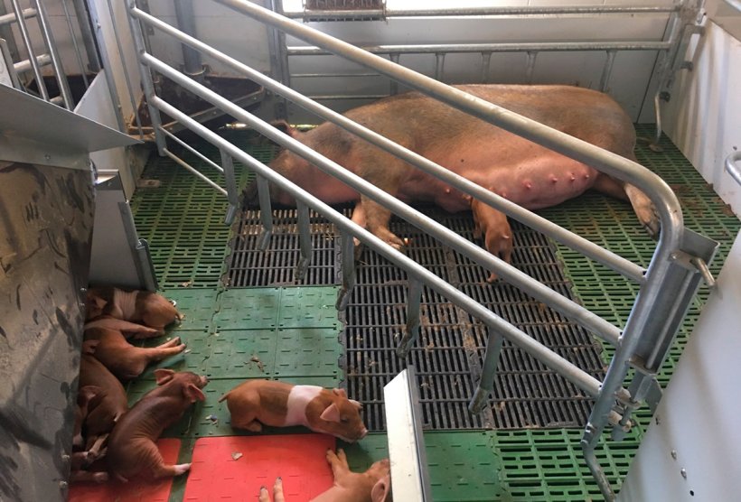 Foto 2. Sistema JLF15.
