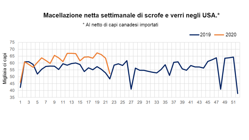 Fonte: dati del servizio di marketing agricolo, trasformazioni del servizio di ricerca economica dell'USDA, USDA.