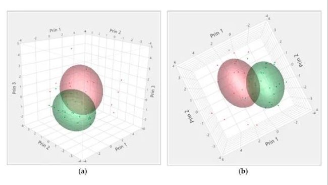 Rappresentazione tridimensionale dei carichi secondo i livelli di cortisolo e CK da differenti angolazioni (a,b). Ogni punto equivale ad un carico. Cluster 1 (rosso, 21 carichi), Cluster 2 (verde, 23 carichi). L'area colorata rappresenta l'aria in torno al cluster centrale.