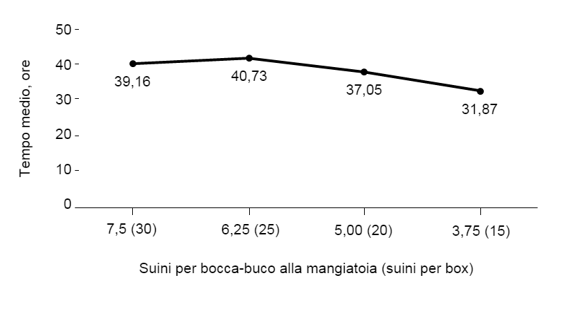 Figura 1. Tempo medio fino all'inizio dell'ingestione di mangime in base al N° di suini per bocca della mangiatoia e per box durante lo svezzamento. Lineare, P <0,001; Quadratico, P = 0,081.