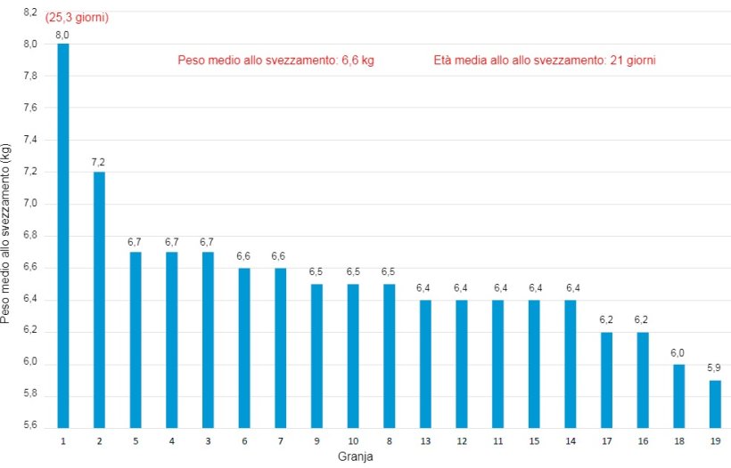 Grafico 3. Peso allo svezzamento in diversi allevamenti di un sistema produttivo nel 2018.