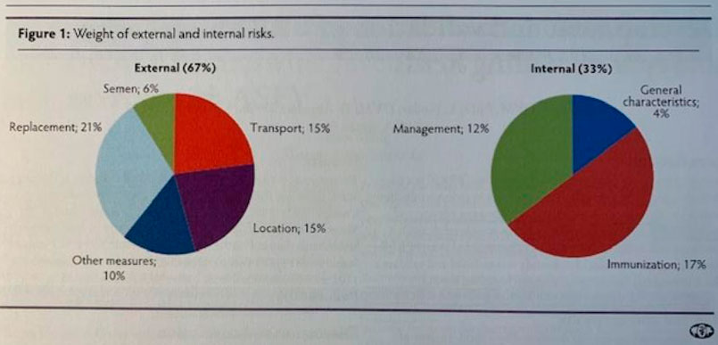 Figura 1. Importanza dei rischi esterni ed interni.