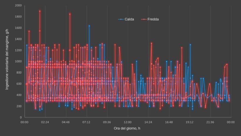 Figura 2. Effetto della stagione e dell'ora del giorno sull'ingestione&nbsp;giornaliera di mangime nelle scrofe che allattano (linee continue). Ogni punto rappresenta i dati di 18 scrofe nella stagione fredda e 32 scrofe nella stagione calda.

