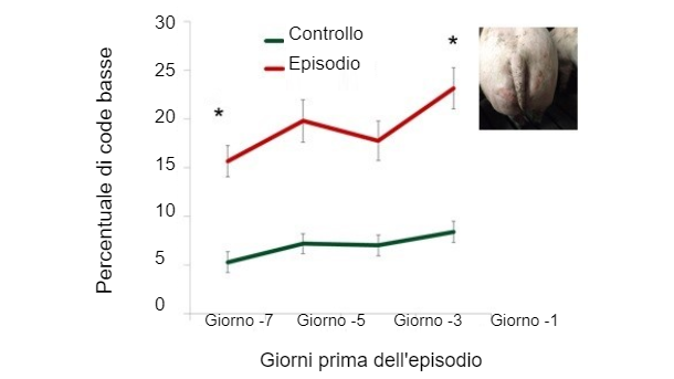 Figura 1. Percentuale di code basse nei giorni precedenti l'episodio.