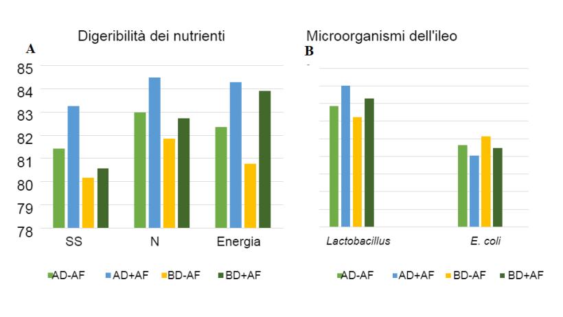 Figura 2: Effetti dell'avena fermentata in diete con diverse densit&agrave; di nutrienti sulla digeribilit&agrave; apparente totale (ATTD) e sui microrganismi dell'ileo nei suinetti svezzati.
