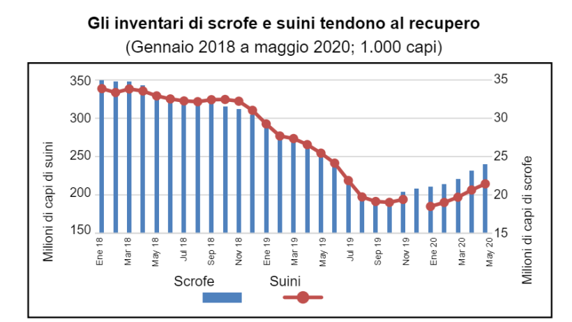 Dati di dicembre 2019 non disponibili. Fonte: MARA