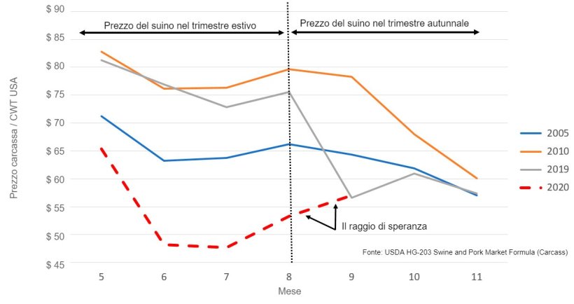 Andamento del prezzo dei suini nel trimestre autunnale dopo un'estate controcorrente (dal 2001, il prezzo dei suini è diminuito solo in estate nel 2005, 2010, 2019 e 2020).