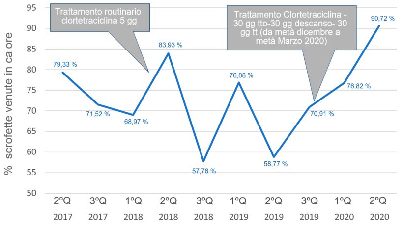 Grafico 1. Evoluzione % di scrofette con segni del calore.