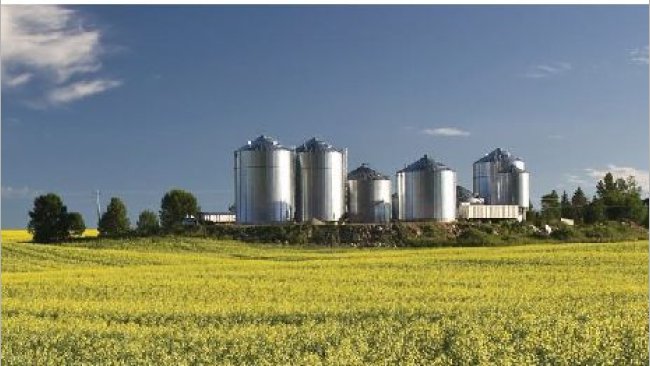 Immagine 2. Fabbrica di mangimi nel Nord America. Fonte ANACAN.
