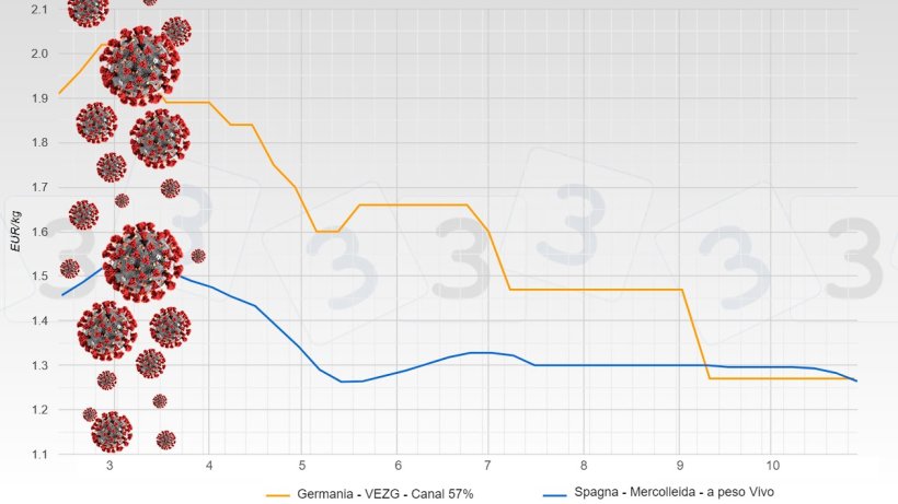 Evoluzione del prezzo del suino dopo il Covid (il prezzo della Germania è per la carcassa e quello della Spagna è a peso vivo)