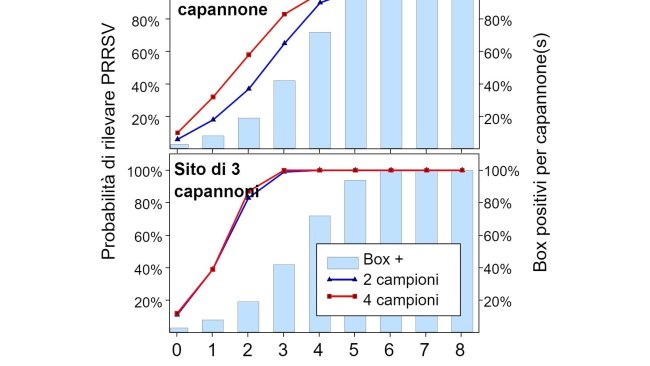 Figura 1. Rilevazione del PRRSV mediante campionamento spaziale fisso. Probabilità di rilevare ≥ 1 campione positivo al PRRSV in funzione del numero di campioni prelevati per capannone (2 o 4) e del numero di box campionati per allevamento (1 o 3). Si noti che la probabilità di rilevamento aumenta geometricamente con il numero di corde e capannoni campionati. Dati da Rotolo et al., (2017).