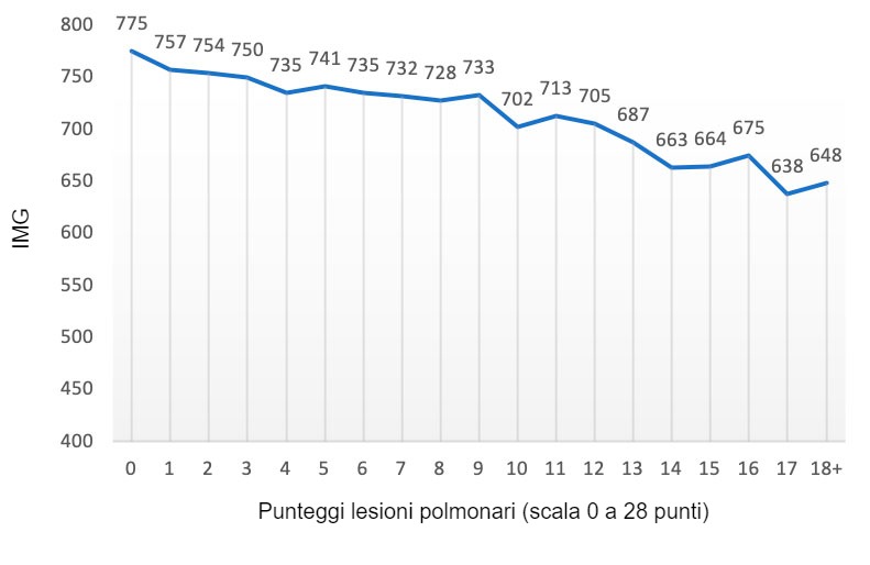 Figura 2: Valore dell'IMG (grammi) in funzione del punteggio della lesione polmonare (scala da 0 a 28 punti). Adattato da Pagot et al. (2007).