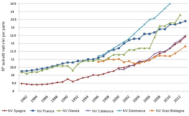 Evoluzione del numero di suinetti nati per parto in diversi paesi