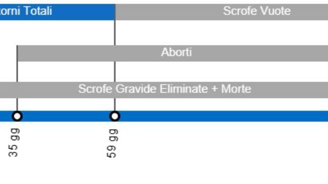 Tipi di perdite di gestazione che determinano un calo della portata al parto, con il dettaglio dei diversi tipi di perdite secondo l'intervallo tra inseminazione e perdita
