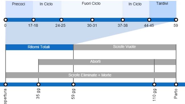 Tipi di perdite riproduttive che comportano una portata al parto&nbsp;inferiore, con dettagli sui diversi tipi di ritorni&nbsp;a seconda del momento in cui si verificano.
