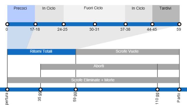Tipi di perdite riproduttive&nbsp;che comportano una portata al parto&nbsp;inferiore, con dettagli sui diversi tipi di ritorni&nbsp;a seconda del momento in cui si verificano.
