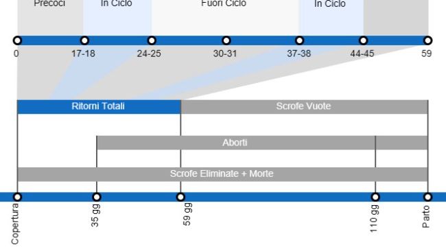 Tipi di aborti che comportano un tasso di natalit&agrave; inferiore, con dettagli sui diversi tipi di ritorni&nbsp;a seconda del momento in cui si verificano.
