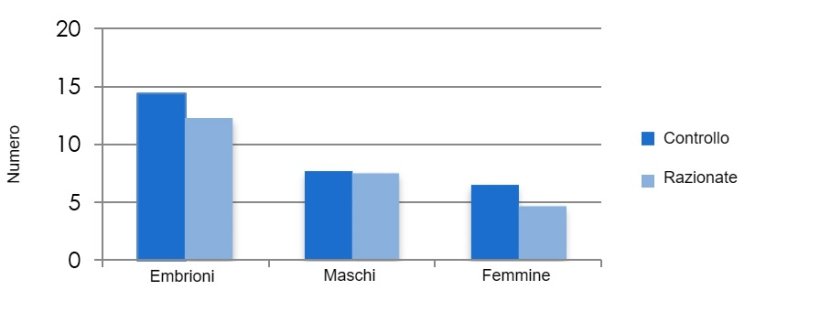 Relazione tra alimentazione durante l'allattamento e sopravvivenza dell'embrione. Vinsky, M. D. et al. (2005) La restrizione nutrizionale nelle scrofe primipare in allattamento influenza selettivamente la sopravvivenza dell'embrione femminile e lo sviluppo complessivo della figliata. Riproduction, fertility and development:&nbsp;18(3) 347&ndash;355
