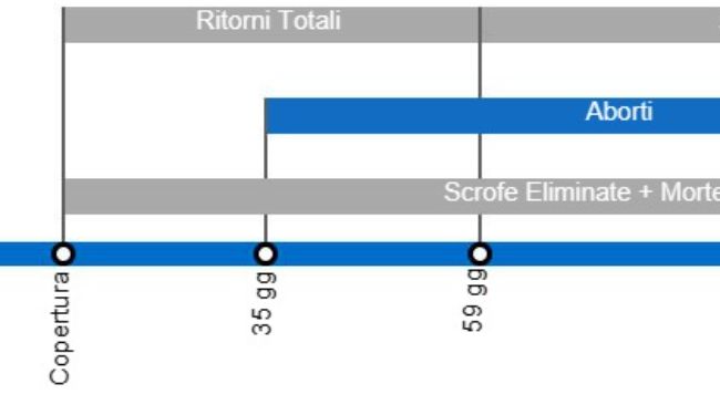 Tipi di perdite di gestazione che determinano un calo della portata al parto, con il dettaglio dei diversi tipi di perdite secondo l'intevallo tra inseminazione e perdita di gravidanza.
