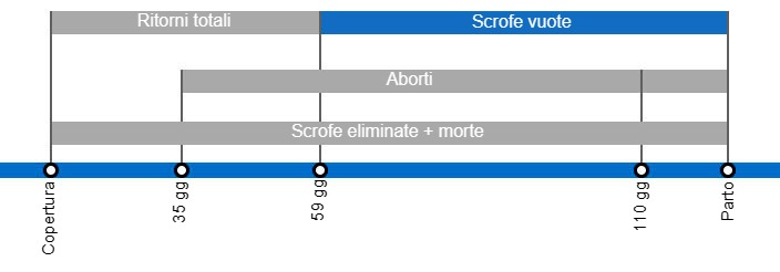 Tipi di perdite di gestazione che portano ad un calo della portata al parto, con il dettaglio dei diversi tipi di perdite secondo l'intervallo tra inseminazione e perdita.
