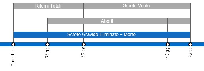 Tipi di perdite di gestazione che portano ad un calo della portata al parto, con il dettaglio dei diversi tipi di peridte secondo l'intervallo tra inseminazione e perdita.
