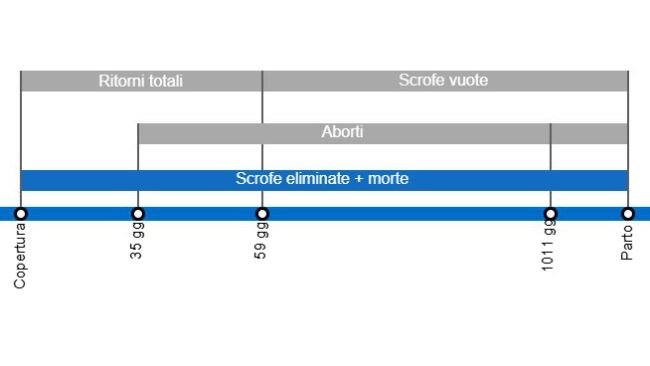Tipi di perdite di gravidanza che comportano un tasso di natalità inferiore, con dettagli sui diversi tipi di ritorni in calore secondo il momento in cui si verificano.