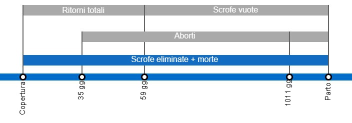 Tipi di perdite di gravidanza&nbsp;che comportano un tasso di natalit&agrave; inferiore, con dettagli sui diversi tipi di ritorni in calore secondo il momento in cui si verificano.
