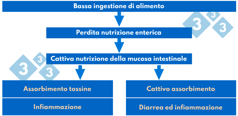 Tabella 3. Patogenesi della sindrome post-svezzamento