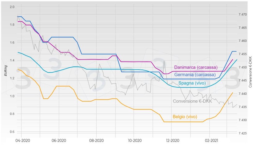Grafico 1. Evoluzione del prezzo del suino in Germania, Spagna, Danimarca e Belgio.