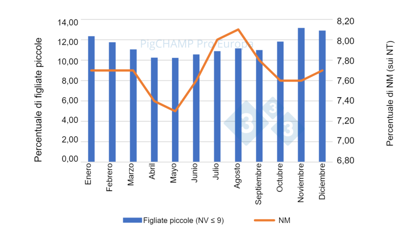 Grafico 3. Distribuzione percentuale di suinetti NM e piccole figliate (NV&le;9 suinetti), 2018-2019.
