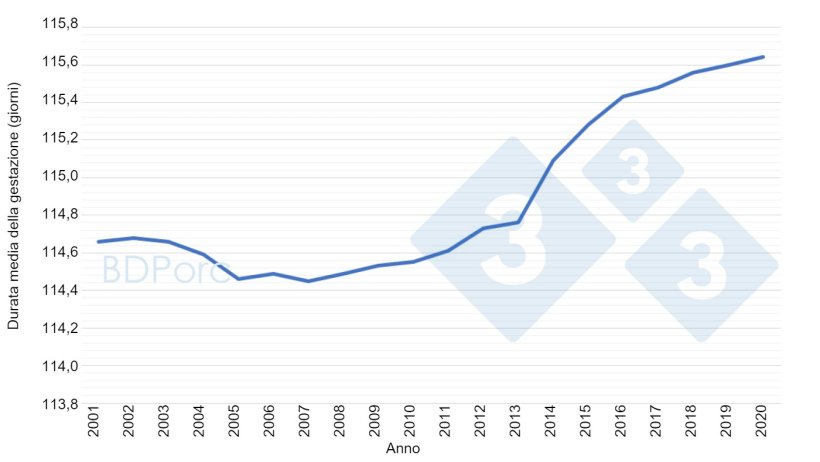 Grafico 2. Durata media della gestazione delle scrofe in Spagna dal 2001 al 2020. Fonte: BDPorc.
