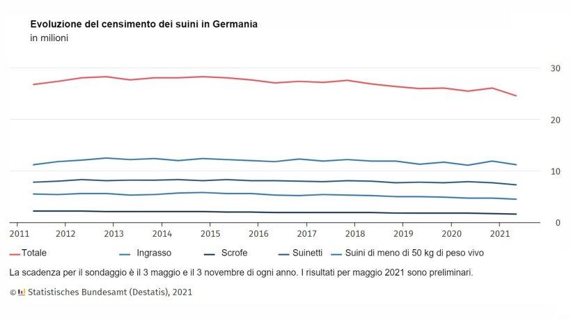 Evoluzione del censimento dei suini in Germania.
