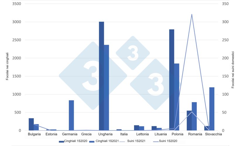 Focolai di PSA in cinghiali e suini domestici dell'UE tra gennaio e giugno 2021