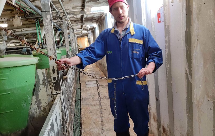 Foto 1: Esempio di catena ramificata.
