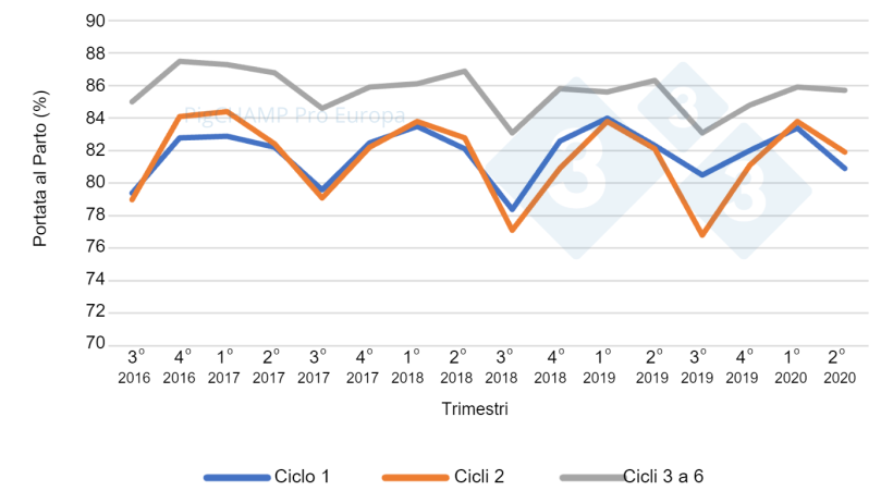 Grafico 4. Portata al parto per ciclo e per trimestri di coperture: coperture periodo Luglio&nbsp;16-Giugno 20.
