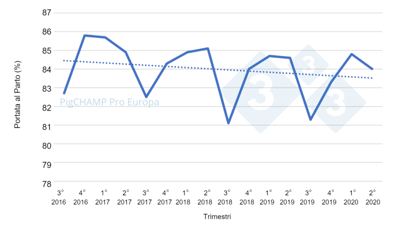 Grafico 1. Portata al parto per trimestre di coperture: coperture periodo Luglio&nbsp;16-Giugno&nbsp;20.
