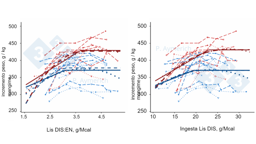Figura 2. Modello&nbsp;dell'effetto del rapporto lisina-energia e dell'ingestione&nbsp;giornaliera di lisina nei maschi interi (rosso) e femmine (blu) in fase di finissaggio sull'indice&nbsp;di conversione (Aymerich et al., 2021).
