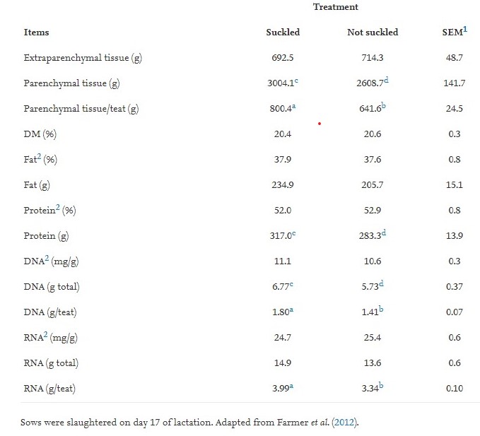 La composizione della ghiandola mammaria di scrofe di 2&deg; parto di 4 ghiandole funzionali che sono state precedentemente nella prima lattazione&nbsp;succhiate (n.16) oppure non succhiate (n.16).
