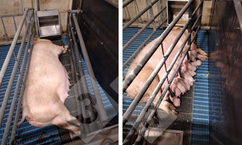 Figura 4. Modifiche apportate al box