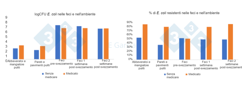 Figura 2. Livelli di E. coli e percentuale di resistenza in abbeveratoi, mangiatoie, suolo, pareti e feci in allevamenti che utilizzano o meno antibiotici e ossido di zinco nel mangime.