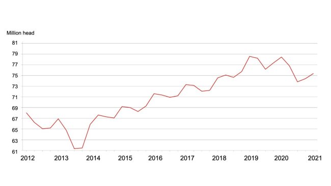 Inventario trimestrale di suini e carni suine - Stati Uniti: 1° settembre. Fonte: USDA.